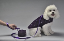 Purple Passion Coat<br />Coat, leash and bag sold separately
