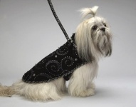 Starry Night Coat<br />Coat and leash sold separately