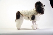 Milky Way Coat<br />