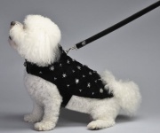 Night at the Opera Coat<br />Coat and leash sold separately