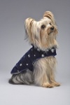 Hanukkah Lights Coat<br />