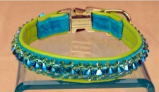 Cool Lime Collar