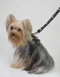 Spike Harness