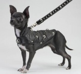 Spike Black Coat<br />Coat and leash sold separately