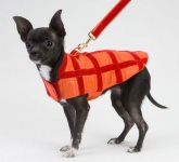 Tangerine Coat<br />Coat and leash sold separately