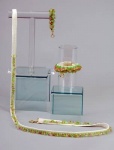 Glass Garden Bracelet<br />Collar, leash and bracelet sold separately