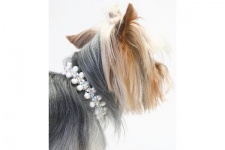 Cream Pearl Necklace