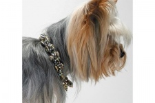 Olive Posh Necklace