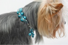 Turquoise Pearl Necklace