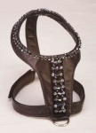 Midnight Harness