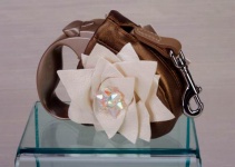Fall Flowers Retractable Leash