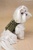 Olive Posh Harness