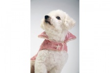 Pink Princess Coat