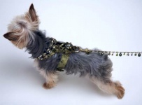 Olive Renaissance Harness<br />Harness and Leash sold separately