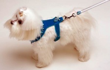 Turquoise Renaissance Harness<br />Harness and Leash sold separately