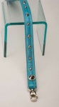 Spike Turquoise Leash<br />