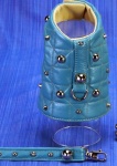Spike Turquoise Leash<br />Coat and leash sold separately