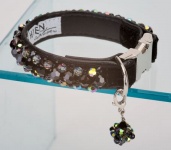 Starry Night Collar<br />