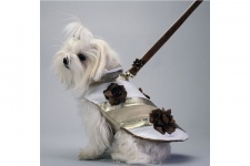 Bronze Bouquet Coat<br />Coat and leash sold separately