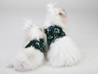 Pine Mist Vest<br />