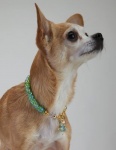 Peridot Necklace<br />