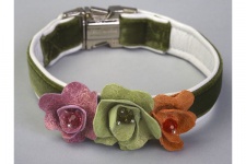 Flower Power Collar<br />
