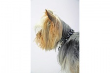 Slate Freshwater Pearl Necklace