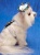 Tropical Garden Harness