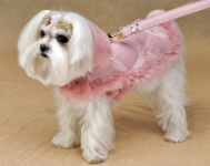 Powder Puff Pink Coat