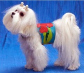 Tropics Blue Harness Vest