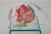 Sweet Pea Garden Retractable Leash