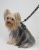 Spike Black Harness Vest