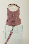 Spike Pink Leash