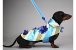 Blue Bouquet Coat