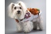 Flower Power Coat
